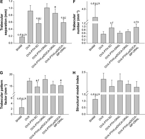 Figure 7 Microcomputed tomography (μ-CT) analyses of the tibiae of rats that were either sham-operated (SHAM) or ovariectomized (OVX) and treated with various modes.Notes: The treatment modes were once-daily subcutaneous injection of 10 μg kg−1 rhPTH (1-34) (OVX-PTH-SC) or once-daily oral administration of 50 μg kg−1 rhPTH (1-34) (OVX-PTH-ORAL), rhPTH (1-34)/Lys-DOCA complex as 50 μg kg−1 of rhPTH (1–34) (OVX-PTH/LysDOCA-ORAL), or enteric-microparticles containing rhPTH (1-34)/Lys-DOCA nanocomplex as 50 μg kg−1 of rhPTH (1-34) (OVX-PTH/LysDOCA-MP-ORAL) for 12 weeks. Bone mineral density (BMD) (A), bone volume fraction (BV/TV) (B), bone surface/volume ratio (BS/BV) (C), trabecular thickness (Tb.Th) (D), trabecular separation (Tb.Sp) (E), trabecular number (Tb.N) (F), trabecular pattern factor (Tb.Pf) (G), and structure model index (SMI) (H). Data are presented as mean ± standard deviation (n=10 for each group). aP<0.05 compared with the OVX group; bP<0.01 compared with the OVX group; cP<0.001 compared with the OVX group; dP<0.001 compared with the OVX-PTH-SC group; eP<0.05 compared with the OVX-PTH-ORAL group; fP<0.01 compared with the OVX-PTH-ORAL group; gP<0.001 compared with the OVX-PTH-ORAL group; hP<0.05 compared with the OVX-PTH/LysDOCA-ORAL group; iP<0.01 compared with the OVX-PTH/LysDOCA-ORAL group; jP<0.001 compared with the OVX-PTH/LysDOCA-ORAL group; kP<0.001 compared with the OVX-PTH/LysDOCA-MP-ORAL group (one-way ANOVA followed by Tukey’s multiple-comparison test).Abbreviations: PTH, parathyroid hormone; recombinant human PTH; LysDOCA, lysine-linked deoxycholic acid; ANOVA, analysis of variance.