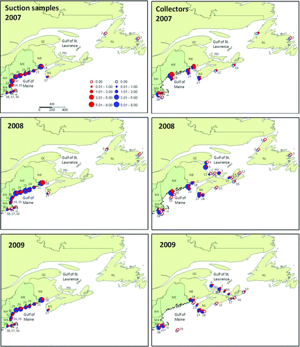 Figure 2.  Spatial patterns of lobster density determined by suction sampling and collector. Average densities (N m−2) of young-of-year (red) and older juvenile lobsters (blue) found in suction samples (left), and collectors (right) deployed in 2007, 2008 and 2009. Symbols represent multi-site averages for each study area. Numbers denote study areas listed in Appendix I.