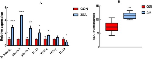 Figure 2. A: Changes in the immune gene expression in the jejunum mucosa of the mice. B: Changes in the IgA levels in the jejunum faeces. All the data are expressed as the means ± SEM. *: P value < 0.05, **: P value < 0.01, ***: P value < 0.001.