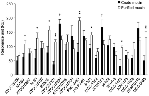 Fig. 3. Adhesion of Bifidobacterium to mucins.Notes: The adhesion of 22 strains of Bifidobacterium to crude mucin (white bars) and purified mucin (black bars) was evaluated using a Biacore system. Strains that bound significantly more strongly to purified mucin than to crude mucin, as determined by Student’s t-test (*p < 0.05, **p < 0.01), are indicated by a single asterisk, while strains showing significantly stronger binding to crude mucin than to purified mucin are indicated with a dagger (†p < 0.05). Error bars indicate standard deviations (n = 3).