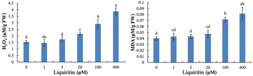 Figure 5. H2O2 and MDA contents in roots of lettuce seedlings after treatments with liquiritin. The results presented are mean of three replicates ± SE, different letters denote significant differences at p < .05 according to oneway ANOVA with an LSD test.