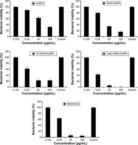 Figure 7 Antibacterial activity of AuNPs, GlcN-AuNPs, ultraviolet light-treated GlcN-AuNPs, laser-treated GlcN-AuNPs, and standard kanamycin.Notes: A significant difference in activity was observed in all nanoparticle treatment groups when compared with the control (P,0.001). The laser-treated GlcN-AuNPs showed better inhibition of bacterial growth at a low concentration when compared with other nanoparticles. A significant difference was observed between laser-treated GlcN-AuNPs and the other nanoparticles at high concentration (P<0.001).Abbreviations: AuNPs, gold nanoparticles; GlcN-AuNPs, glucosamine-functionalized gold nanoparticles.