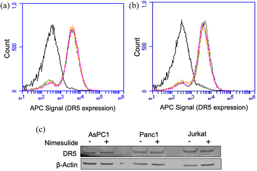 Figure 8. Effect of nimesulide on DR5 expression. FACS data demonstrate surface expression of DR5 on AsPC1 (a) or Panc1 (b) cells. Cells were treated separately with DMSO or nimesulide and incubated for 24 hours. After incubation cells were washed with PBS and incubated with APC-conjugated anti-DR5 antibody and analyzed by flow cytometry. The black line indicates for unlabeled cells, green for cells treated with DMSO and Orange (50 μM) and magenta (100 μM) for cells treated with nimesulide. (c) Cancer cells were treated with or without nimesulide (50 μM) and incubated for 24 hours. After incubation cells were washed with PBS and lysed with native lysis buffer. Equal amounts of total protein were loaded and resolved by 4–20% Tris-glycine SDS−PAGE gels and immunoblotted with antibodies against DR5 and β-Actin.