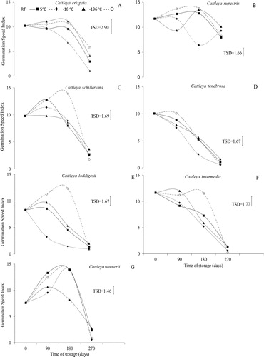 Figure 2. Germination speed index (GSI) of Cattleya crispata (A), C. rupestris (B), C. schilleriana (C), C. tenebrosa (D), C. loddigesii (E), C. intermedia (F) and C. warneri (G) after being equilibrated at 11% RH for nine months under four storage conditions: room temperature (RT, 23 ± 2 °C), 5 °C, –18 °C and liquid nitrogen (LN, –196 °C).