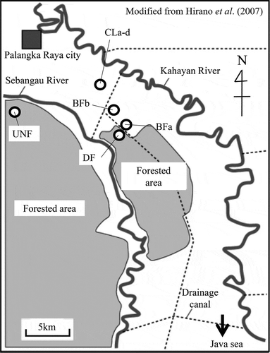 Figure 1 Locations of the gas and soil sampling sites in Kalampangan, Central Kalimantan, Indonesia (modified from Hirano et al. Citation2007). UNF: undrained natural forest; DF: drained forest; BFa–b: two sites in the burned forest; CLa–d: four sites in the croplands.