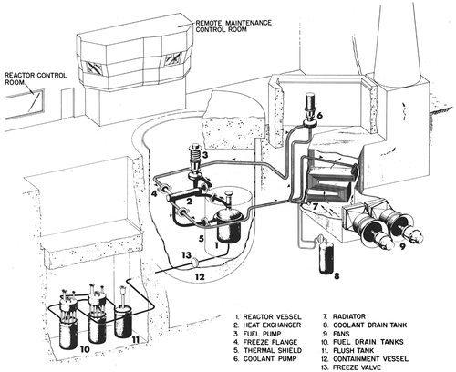 Fig. 1. MSRE layout.Citation15