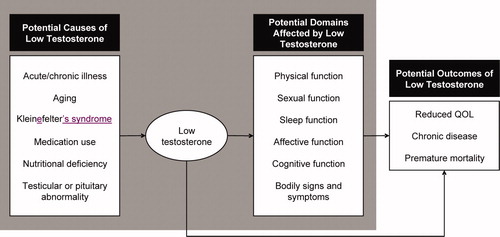 Figure 1. Conceptual model of HG including potential causes of, domains affected by, and outcomes associated with low testosterone levels. The grey shaded area indicates the focus of the current investigation.