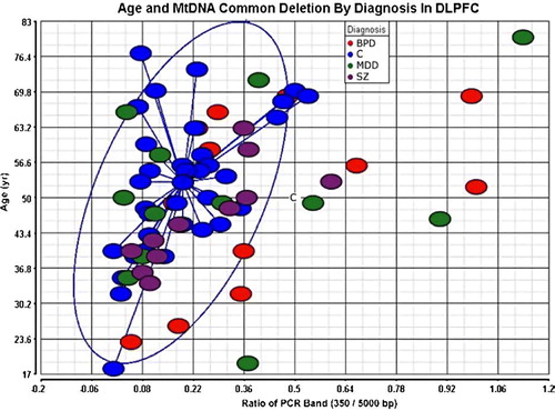 Figure 2.  The mitochondrial common deletion is increased in psychiatric disorders. The individual subjects are plotted by age and common deletion (x-axis ratio of 350/5000 bp). Subjects with BPD died at a younger age in this study; there was a significant increase in common deletion after age adjustment. The blue circle indicates the 95% confidence limits around the control subjects. The increase in the common deletion for nine psychiatric subjects is shown outside of the blue circle. Group abbreviations are shown in Table I.
