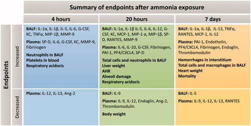 Figure 8. Summary of all results at each time point after exposure to an ammonia dose of 91.0 mg/kg·bw via intratracheal instillation (at 4 h, 20 h and 7 days). The top row (increased) shows induced biomarkers and pathophysiological conditions, and the bottom row (decreased) biomarkers decrease in relation to time-matched control groups. (BALF: bronchoalveolar lavage fluid. AHR: airway hyperresponsiveness).