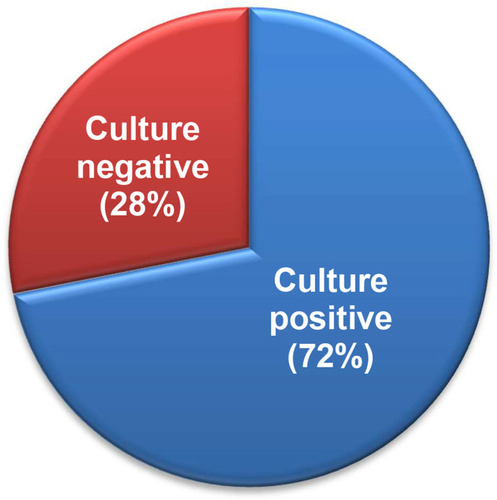 Figure 1 Percentage of culture positive and negative samples on MacConkey agar plates after 24 hours of growth.