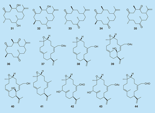 Figure 12.  Cembranoids library for biofilm inhibition.Data taken from [Citation88–90].