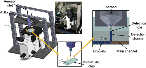 Figure 2. Schematic of the breadboard detector system. A support was built to allow the aerodynamic lens (ADL) to cantilever over the chip, and a microscope was used to observe the aerosol collection phenomenon. The chip and aerosol focusing capillary cross-section is seen in the furthest right image.