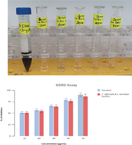 Figure 13. Hydroxyl radical scavenging activity of Clitoria ternatea (Blue Tea) and Zingiber officinale (ginger) mediated selenium nanoparticles extract.