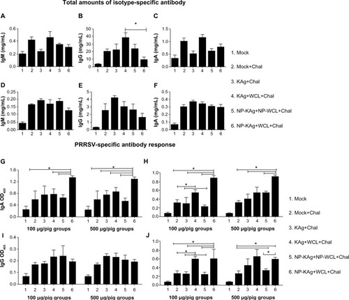 Figure 1 Total amounts of isotype-specific antibody in lung homogenate (A–C) and BAL fluid (D–F), and PRRSV-specific antibody response in BAL fluid (G,I) and lung homogenate (H,J).Notes: Significantly reduced levels of total lung IgG (B), but increased amounts of PRRSV isotype-specific IgA (G and H) and IgG antibodies (J) in the lungs of pigs vaccinated with adjuvanted NP-KAg. Lung homogenate and BAL fluid samples were collected on the day of necropsy (PC15) from both 100 and 500 μg/pig dose groups. Pigs were analyzed for estimation of total IgM (A and D), IgG (B and E), and IgA (C and F); and also PRRSV-specific IgA (G and H) and IgG (I and J) by ELISA. Each bar represents the average OD405nm value of PRRSV-specific (n=3) or total antibodies (n=6 pigs/group) ± standard error of mean. Asterisk denotes a statistically significant (P<0.05) difference between the two indicated pig groups.Abbreviations: BAL, bronchoalveolar lavage; Chal, challenge; ELISA, enzyme-linked immunosorbent assay; IgA, immunoglobulin A; IgG, immunoglobulin G; IgM, immunoglobulin M; KAg, killed antigen; NP-KAg, nanoparticle-entrapped killed antigen; NP-WCL, nanoparticle-entrapped whole-cell lysate of M. tb; OD, optical density; PC, postchallenge day; PRRSV, porcine reproductive and respiratory syndrome virus; M. tb, Mycobacterium tuberculosis.