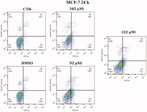 Figure 10. Annexin V analysis of MCF-7 cell line after administration of compounds 5 and 12 (2 µM) after 24 h. DMSO and compound 34 were used as controls. Apoptotic, necrotic, and live cells were stained with Annexin V FITC/7-AAD and then analysed by BD FACS DIVA software.
