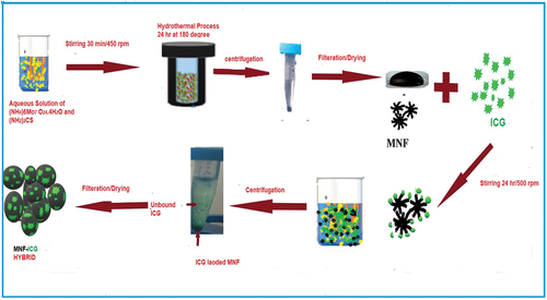 Figure 1. Overview of methodology of the synthesis of MNF-ICG hybrid.