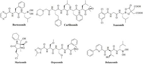 Figure 14 Representative proteasome inhibitors approved or under clinical trials.