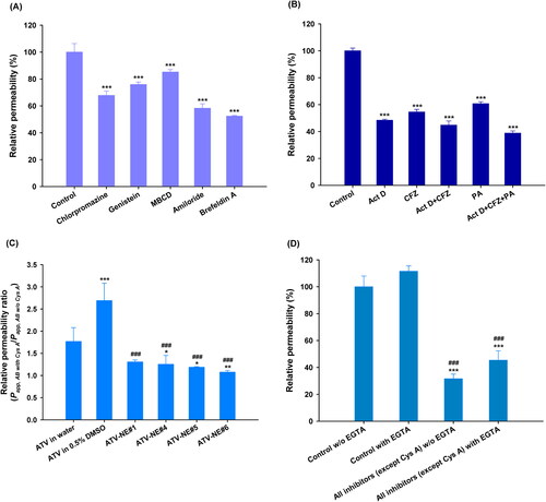 Figure 4. In vitro transport mechanism of ATV-NEs across Caco-2/HT-29 MTX E12 cell monolayers. (A) Relative apparent permeability (Papp) values of ATV-NE#6 after incubation with various transport inhibitors of transcytosis mechanism. Values are shown as means ± SDs (n = 4). ***p <.001 compared with Papp of ATV-NE#6 in the absence of all inhibitors (untreated control). (B) Relative Papp values of ATV-NE#6 in the presence of inhibitors of ASBT, OSTα/β, and SMVT alone or in various combinations. Values are shown as means ± SDs (n = 4). ***p <.001 compared with Papp of ATV-NE#6 in the absence of all inhibitors (untreated control). (C) Relative Papp ratios of ATV in water, ATV in 0.5% DMSO, ATV-NE#1, ATV-NE#4, ATV-NE#5, and ATV-NE#6 in the apical-to-basolateral (AB) direction in the presence or absence of Cys A (net Papp ratio [NAPR]; Papp, AB, with Cys A/Papp, AB, w/o Cys A). Values are shown as means ± SDs (n = 4). *p <.05, **p <.01, ***p <.001 compared with NAPR value of ATV in water; ###p <.001 compared with NAPR value of ATV in 0.5% DMSO. (D) Relative Papp values of ATV-NE#6 with or without EGTA in the presence or absence of all inhibitors other than Cys A. Values are shown as means ± SDs (n = 4). ***p <.001 compared with Papp of ATV-NE#6 without EGTA in the absence of all inhibitors (untreated control); ###p <.001 compared with Papp of ATV-NE#6 with EGTA in the absence of all inhibitors.