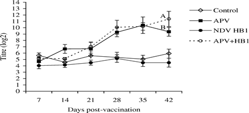 Figure 4.  APV ELISA antibody titres in the unvaccinated control, APV, NDV HB1 or dual-vaccinated groups of chickens measured using APV subtype B-coated ELISA plates. Different superscripts between groups indicate that the values differ significantly (P < 0.05). Bar = standard deviation.