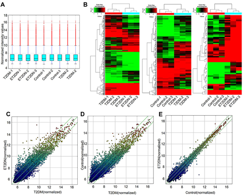 Figure 1 DECs in ET2DN, T2DM and control groups. (A) The Box Plot displayed the normalized intensity distribution of all data. (B) Hierarchical clustering for DECs between ET2DN, T2DM, and control. High relative expression in red, low relative expression in green. Scatter plots were performed to analyze DECs in ET2DN vs T2DM group (C), T2DM vs control group (D) and ET2DN vs control group (E). CircRNAs above the top green line and below the bottom green line indicated more than two-fold change in circRNAs between the two groups.