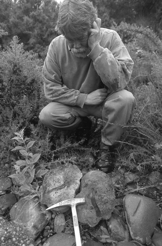 Figure 1  Dr Phillip Maxwell with the concretion containing Kaiika maxwelli, floodplain of the Waihao River, 25 November 1998.