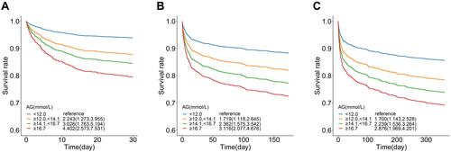 Figure 2 Adjusted survival rate by quartiles of AG. Risk-adjusted survival plots for 30-day mortality (A), 180-day mortality (B) and 1-year mortality (C). Cox regression was adjusted for age, sex, SOFA score, creatinine, BUN, platelet, WBC, hemoglobin, mean heart rate, SAPS II score and comorbidities of hypertension, AF, CHF, diabetes and renal disease as Model 3 described in Tables 2 and 3. The HRs and 95% CI were presented using the bottom quartile as reference.