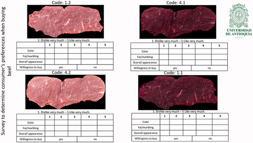 Figure 2. Beef consumer visual perception format.