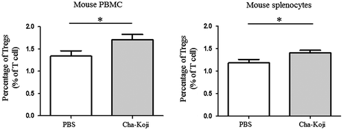 Figure 5. The ratio of Tregs to T cells among (A) PBMCs and (B) splenocytes in mice.