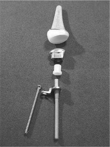 Figure 14. Sandblasted and porous coated steel proximal and distal components, UHMWPE radial cup, proximal steel carpal ball, condylar UHMWPE cylinder and distal steel component. (Courtesy of Dr Levadoux.)