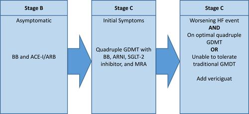 Figure 2 Place in therapy for vericiguat according to progression through the ACC/AHA stages B and C of heart failure.