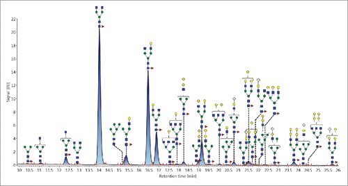 Figure 4. Annotated FLR trace depicting the N-linked glycans derived from the NIST RM mAb. In total, 35 glycans were mass confirmed.