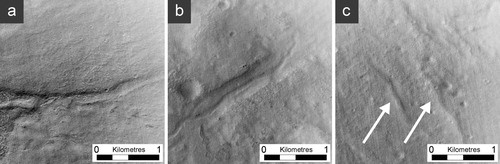 Figure 8. Valleys and sinuous ridges: (a) valley, (b) terraced valley, (c) sinuous ridge (shown by arrows).