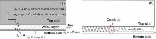 Figure 3. (a) Boundary conditions for numerical propagation saw test (PST) and (b) identification of crack tip.