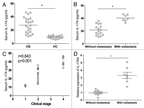Figure 1. Elevated IL-17A expression in OS patients. (A) The serological level of IL-17A was determined by ELISA in 23 NSCLC patients and 16 healthy controls. (B) The serological level of IL-17A in 16 OS patients without metastasis and 7 patients with metastasis. (C) The correlation between serum IL-17A and clinical stage of 23 OS patients was analyzed. (D) The relative expression of IL-17RA mRNA was detected in tumor tissue from 9 OS patients without metastasis and 7 OS patients with metastasis respectively. Each dot represented the data from one OS patient. *p < 0.05.