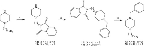 Scheme 2. Reagents and conditions: (v) phthalic anhydride, 160 °C, 4 h; (vi) benzyl chloride, K2CO3, triethylamine, acetonitrile, 50 °C, 3 h; (vii) N2H4 xH2O, absolute ethanol, reflux, 3 h, then RT, overnight.