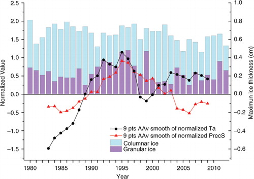 Fig. 6 The normalised 9-yr Adjacent Average (AAv) smooth values of air temperature and snow precipitation for the freezing season, and seasonal maximum ice thickness and its components (columnar and granular ice).