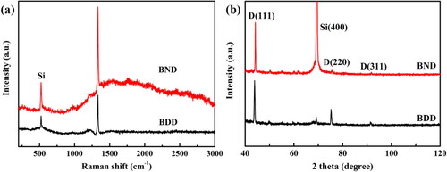 Figure 2. (a) Raman spectra and (b) XRD patterns of BND and BDD films.