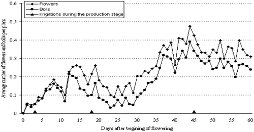 Figure 5. Daily number of flowers and bolls during the production stage (60 days) in the first season (I) for the Egyptian cotton cultivar Giza 75 (Gossypium barbadense L.) grown in uniform field trial at the experimental farm of the Agricultural Research Centre, Giza (30° N, 31°: 28′ E), Egypt.