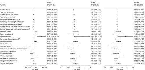 Figure 3 Odds ratios and 95% confidence intervals of the association between different histopathological features and death from prostate cancer among 369 cases and 369 controls.