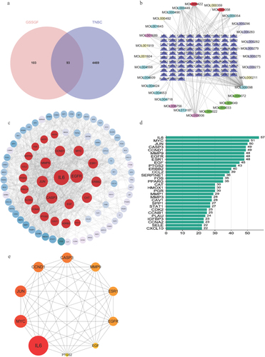 Figure 3 CSSGF-ingredient-target-network. (a)Venn diagram of the target of CSSGF and the target of TNBC. (b) CSSGF ingredient-TNBC target. (c)The PPI network of CSSGF and TNBC targets. (d)The top 30 gene of CSSGF ingredient-TNBC.(e) Top 10 hub genes.