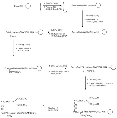 Figure 2 Synthetic procedure for obtaining MonY-BN by solid-phase methods.Notes: The empty circle, ○, represents the solid support (Rink amide resin). The first step of the scheme reports the Fmoc removal by using DMF/Pip (70/30) mixture and the amino acid (Fmoc-aa-OH) coupling under standard SPPS conditions. This step is repeated eightfold to obtain the BN(7–14) sequence (reported according the single-letter amino acid code). Successively, solid-phase synthesis continues to bind on the peptide N-terminus to the other organic components. In the last step, cleavage (TFA/TIS/H2O) from the resin is performed to give a fully unprotected carboxamide product.Abbreviations: BN, bombesin; DMF, N,N-dimethylformamide; DTPA, diethylenetriaminepentaacetate; PEG, polyethylene glycol; SPPS, solid-phase-peptide-synthesis; TFA, trifluoroacetic acid; TIS, tri-isopropylsylane.