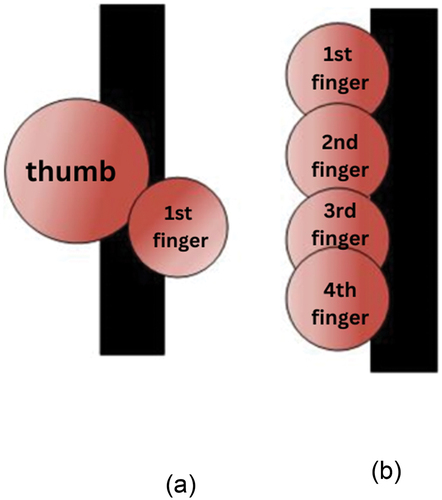 Figure 6. (a) lateral pinch grip; (b) hand grip.