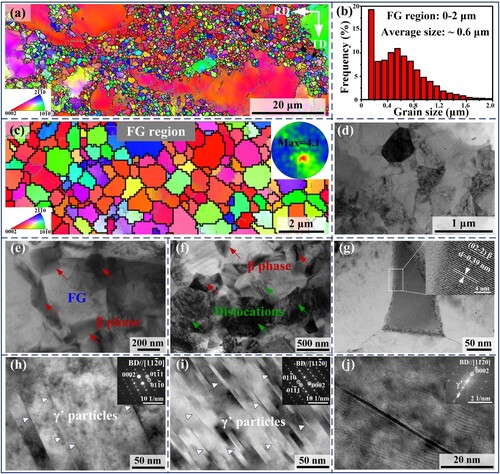 Figure 2. Microstructures of the HPRed alloy: (a) and (c) EBSD IPF images with corresponding legend; (b) grain size distribution of the FG region; (d–f) BF-TEM images of the FG region; (g) HRTEM image of the β phase at boundaries; (h) and (i) BF-TEM images showing γ′ particles in the FG and CG region, respectively; (j) HRTEM image and corresponding FFT pattern of γ′ particles.