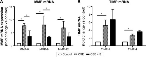 Figure 3 Expression of MMP-8, MMP-9, MMP-12, TIMP-1, and TIMP-4 mRNA.Notes: Total RNA was extracted and real-time quantitative RT-PCR was performed. (A) Expression of MMP-8, -9, and MMP-12 mRNA. (B) Expression of TIMP-1 and -4 mRNA. Vertical axis: mRNA expression presented as “fold change versus control;” horizontal axis: MMP or TIMP. *P<0.05.Abbreviations: CSE, cigarette smoke exposure group; mRNA, messenger RNA; MMP, matrix metalloproteinase; TIMP, tissue inhibitor of MMP; S, simvastatin; RT-PCR, reverse transcription polymerase chain reaction.