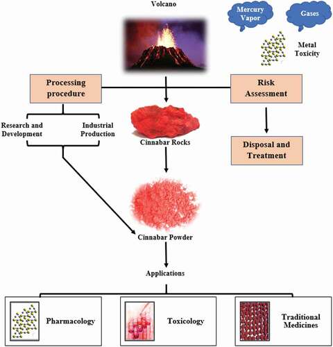 Figure 2. An overview of cinnabar source, environmental pollution, associated risk and their applications.