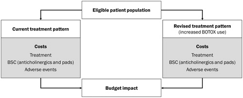 Figure 1. Model schematic.