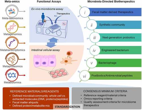 Figure 1. Characterization of the microbiome and microbiome-directed biotherapeutics using multi-omics and in vitro functional assays.