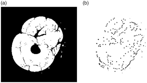 Figure 4. Foreground seed points extraction for vatus. (a) Before extraction; (b) After extraction.