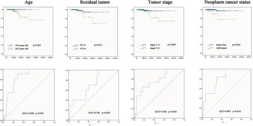 Figure S2 The K–M curves and predictive value of the risk score for clinical features.Notes: The prognostic value of different clinical features for the OS of PTC patients. ROC curve is used to predict different clinical features.Abbreviations: AUC, area under the curve; K–M, Kaplan–Meier; OS, overall survival; PTC, papillary thyroid carcinoma; ROC, receiver operating characteristic.