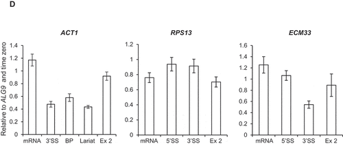 Figure 3. Continued